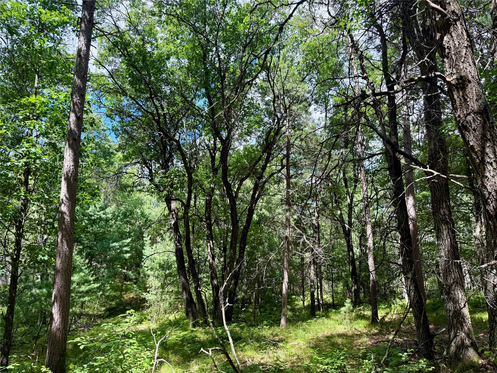 0 St Croix Trail Minong WI 54859 1602480 image12