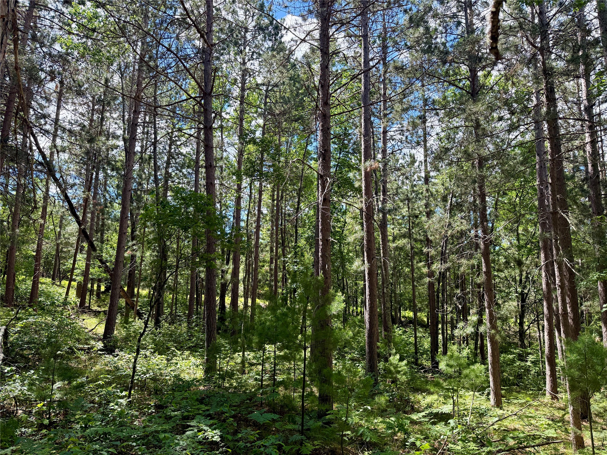 0 St Croix Trail Minong WI 54859 1602480 image13