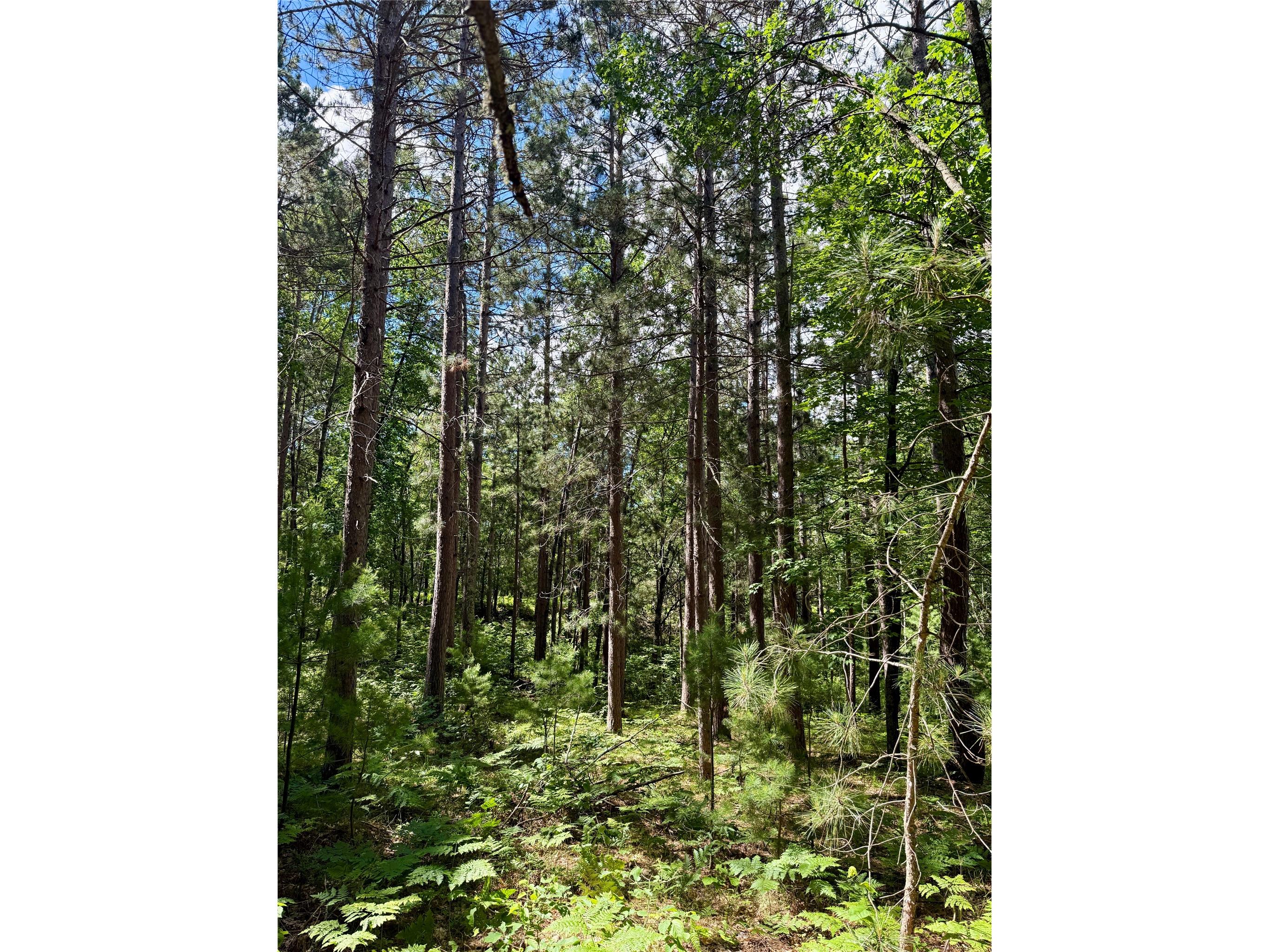 0 St Croix Trail Minong WI 54859 1602480 image14