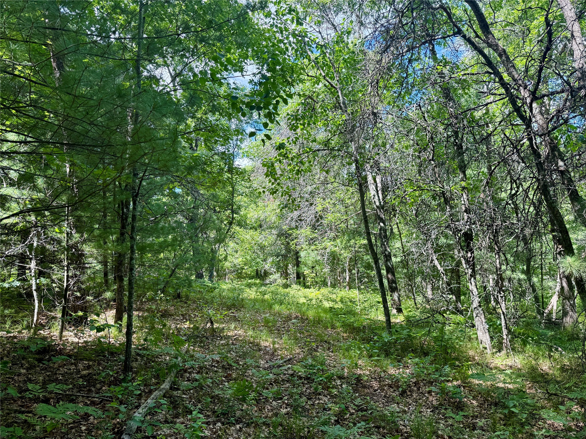 0 St Croix Trail Minong WI 54859 1602480 image15