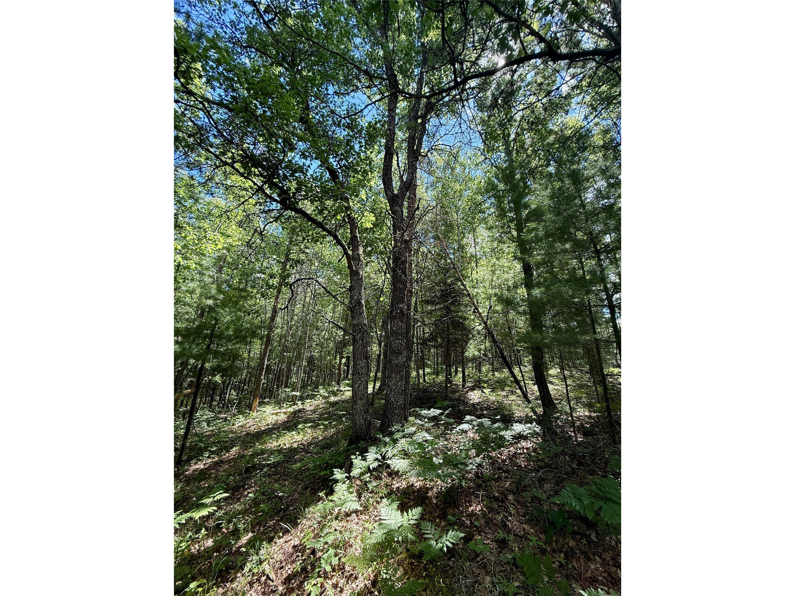 0 St Croix Trail Minong WI 54859 1602480 image18