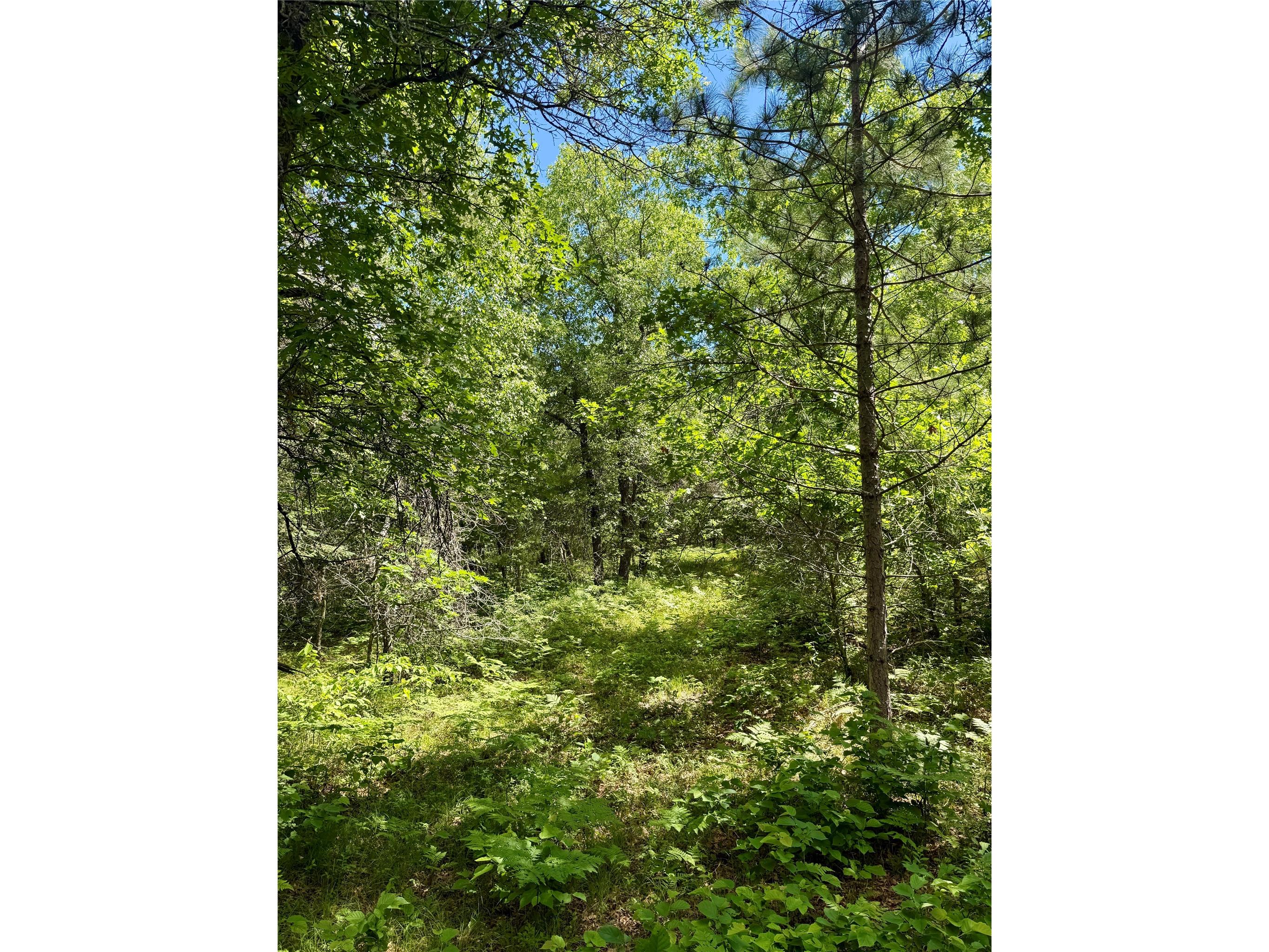 0 St Croix Trail Minong WI 54859 1602480 image19