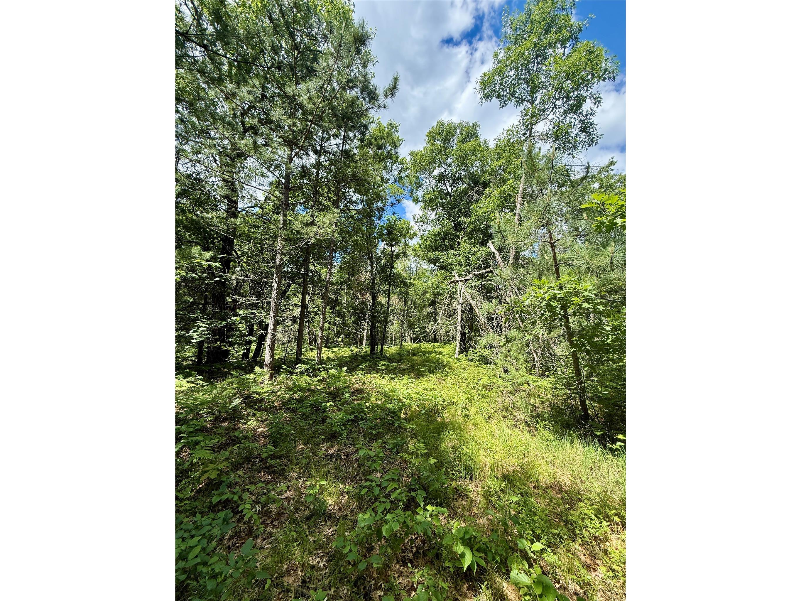 0 St Croix Trail Minong WI 54859 1602480 image20