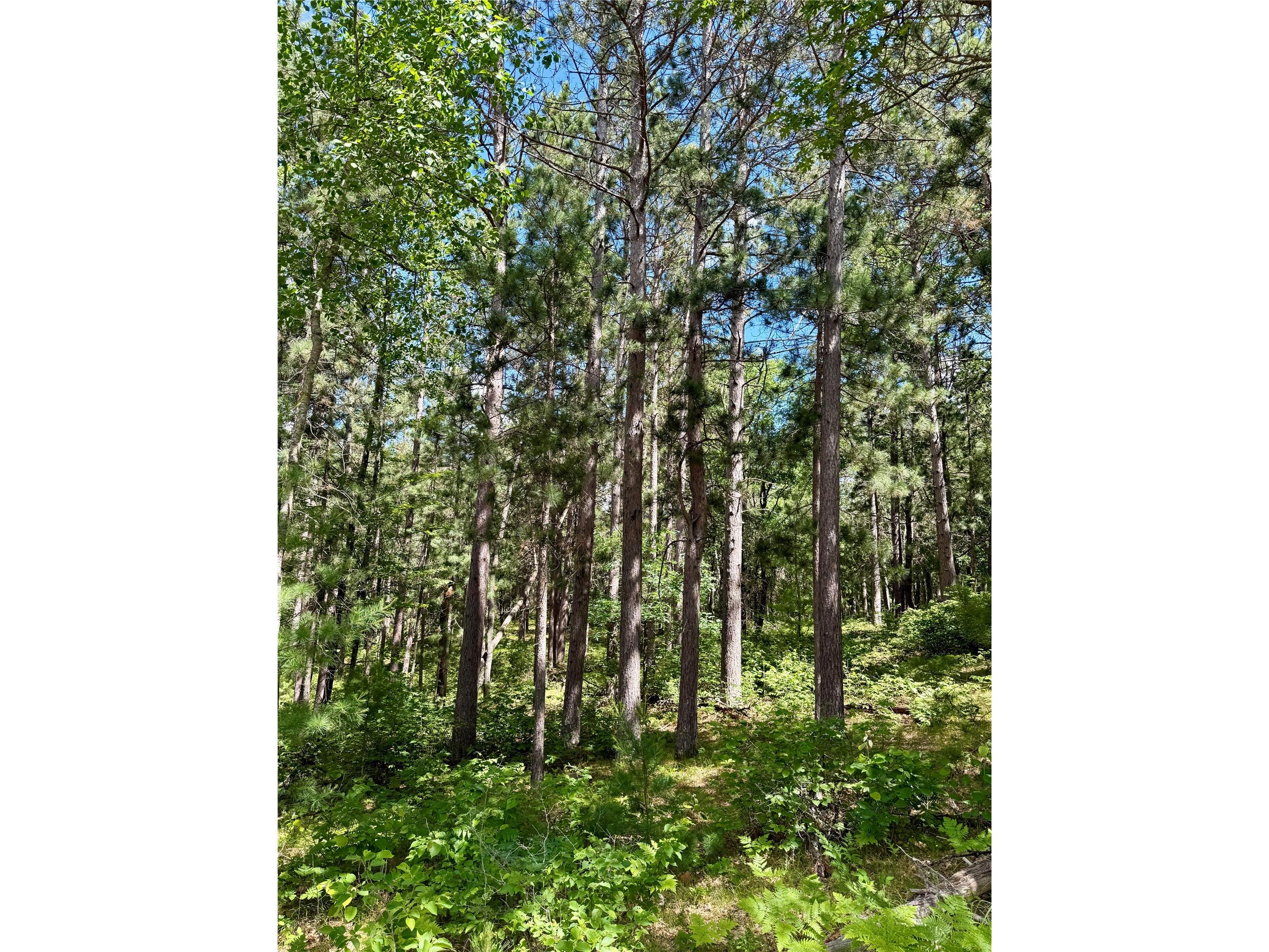 0 St Croix Trail Minong WI 54859 1602480 image8