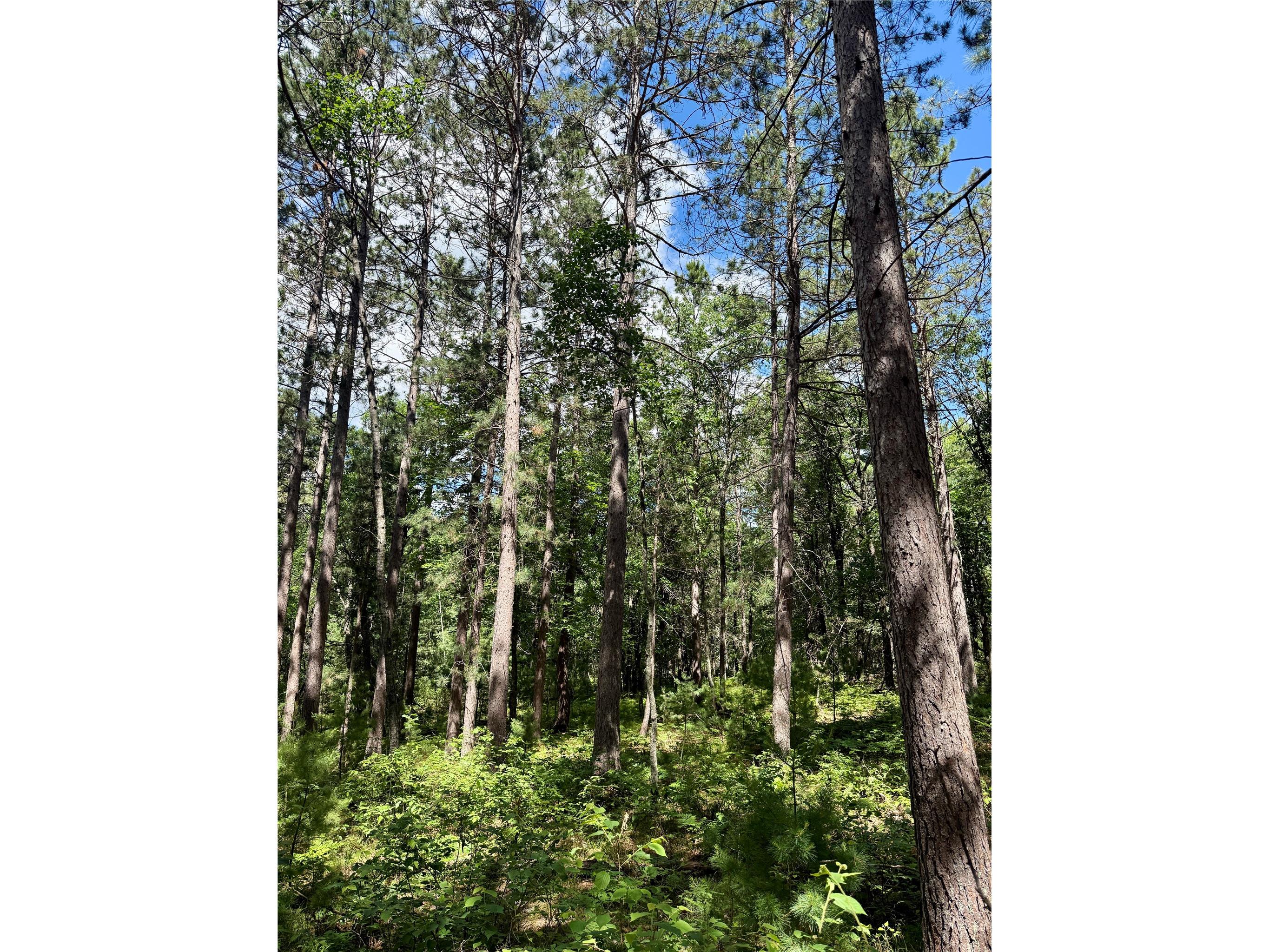 0 St Croix Trail Minong WI 54859 1602480 image9