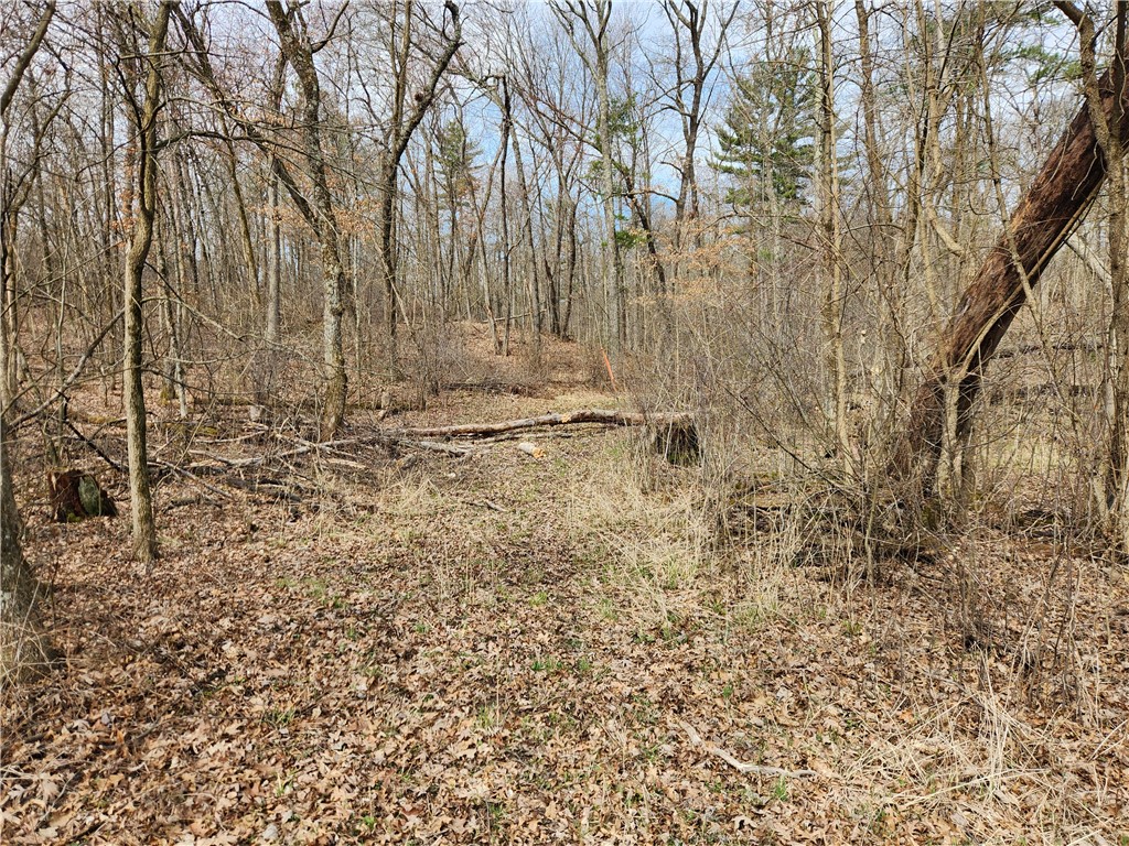 0 State Highway 12/27 Black River Falls WI 54615 - No name 1590892 image1