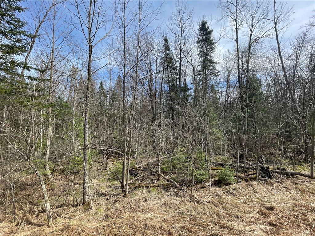 0 State Highway 178, Jim Falls, WI, 54748 MLS 1552461 Edina Realty