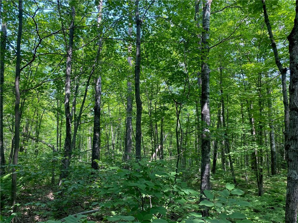 0 State Hwy 53 Solon Springs WI 54873 1574222 image1