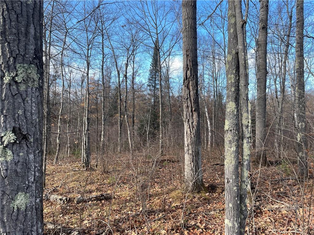 0 State Highway A Iron River WI 54847 1587261 image1