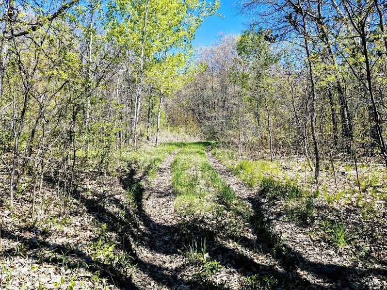 0 State Hwy Ss Cameron WI 54822 1553463 image1