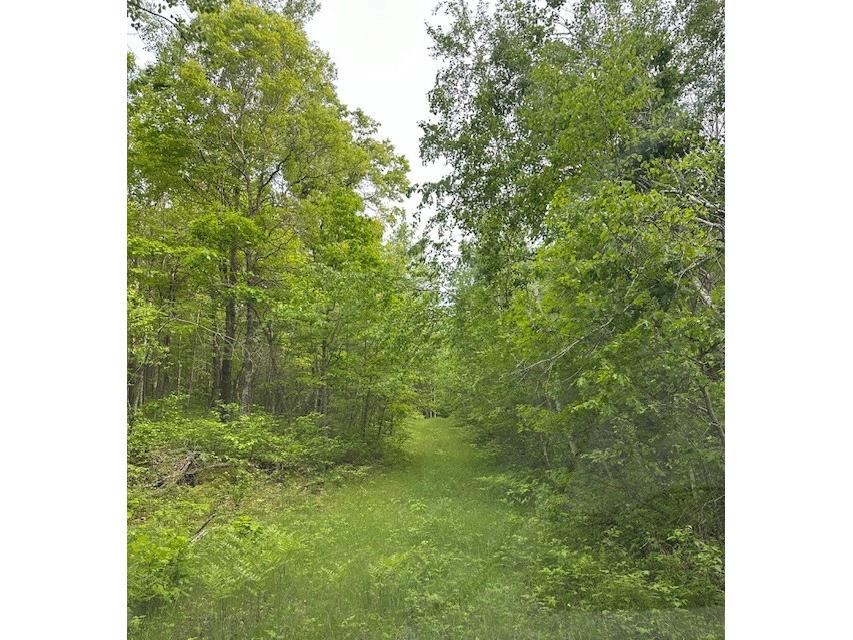 0 Summers Point Lane Hayward WI 54843 - Chippewa 1595244 image1