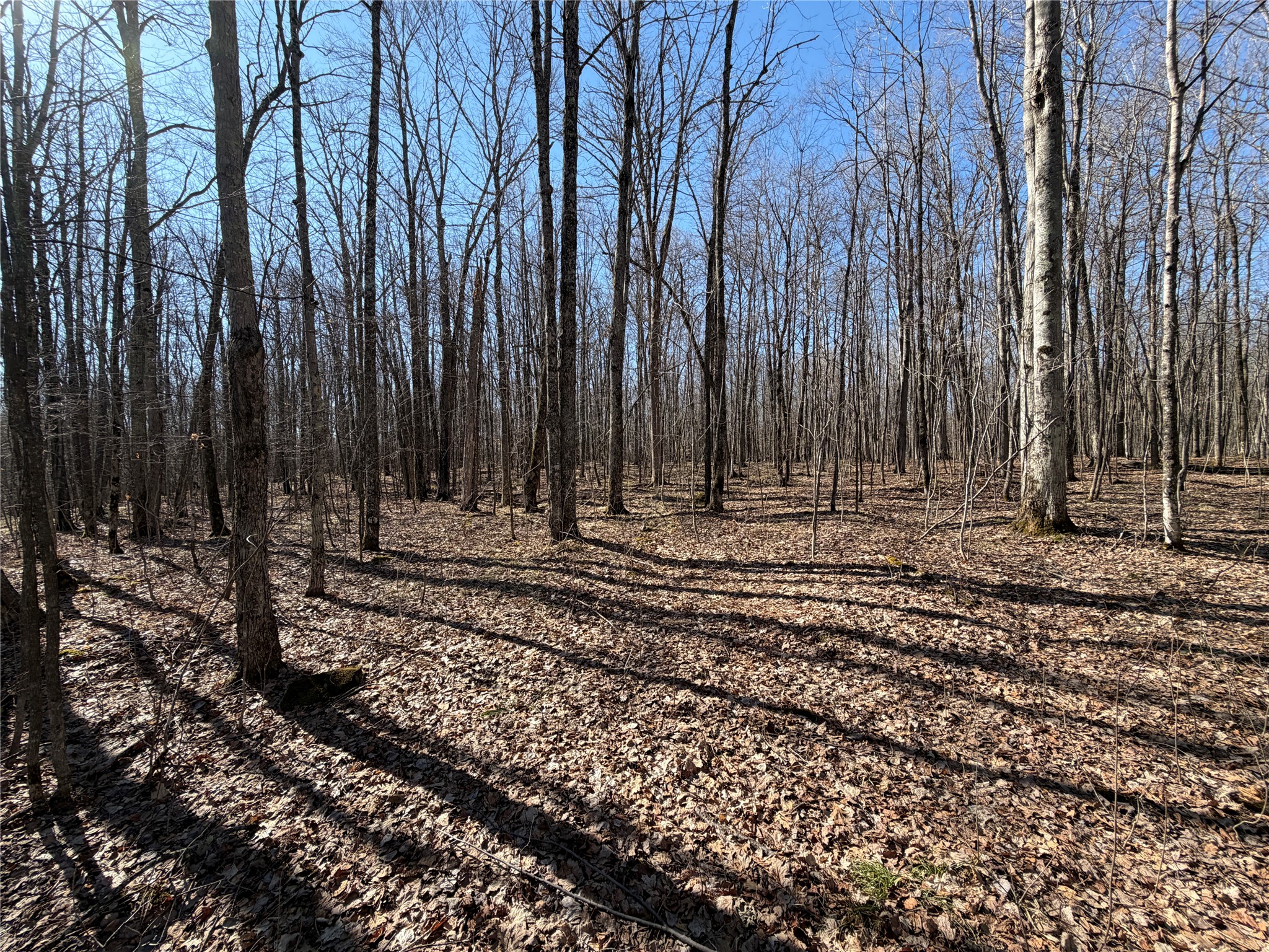 0 Sunset Lane Birchwood WI 54817 1598151 image10