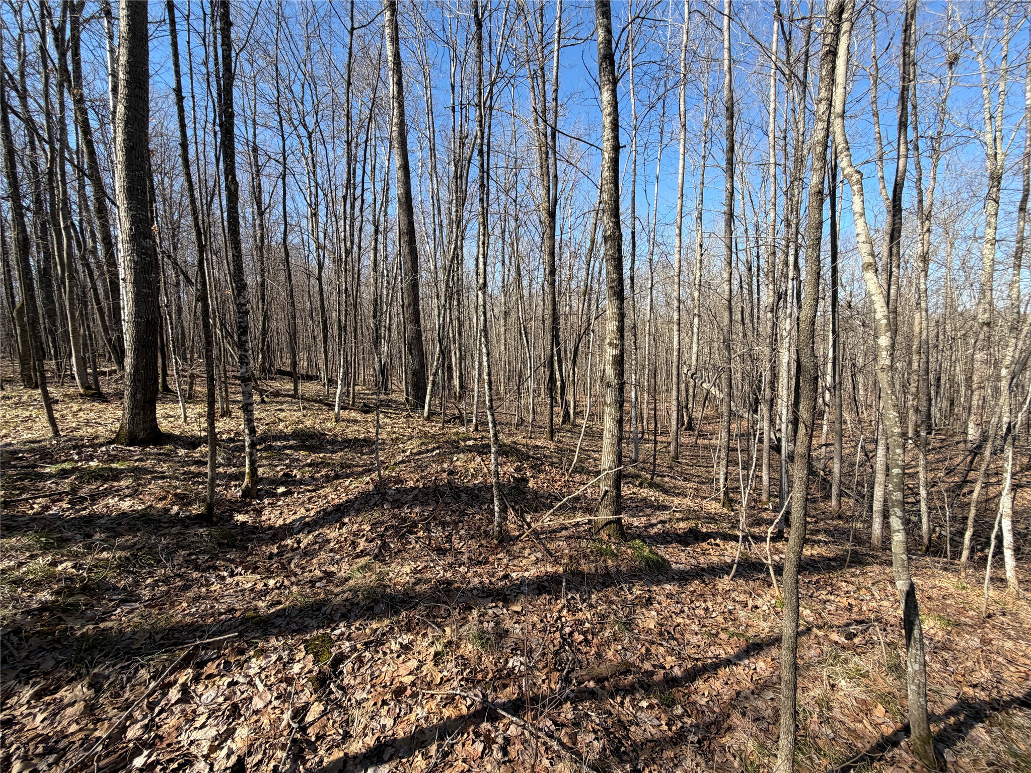 0 Sunset Lane Birchwood WI 54817 1598151 image11