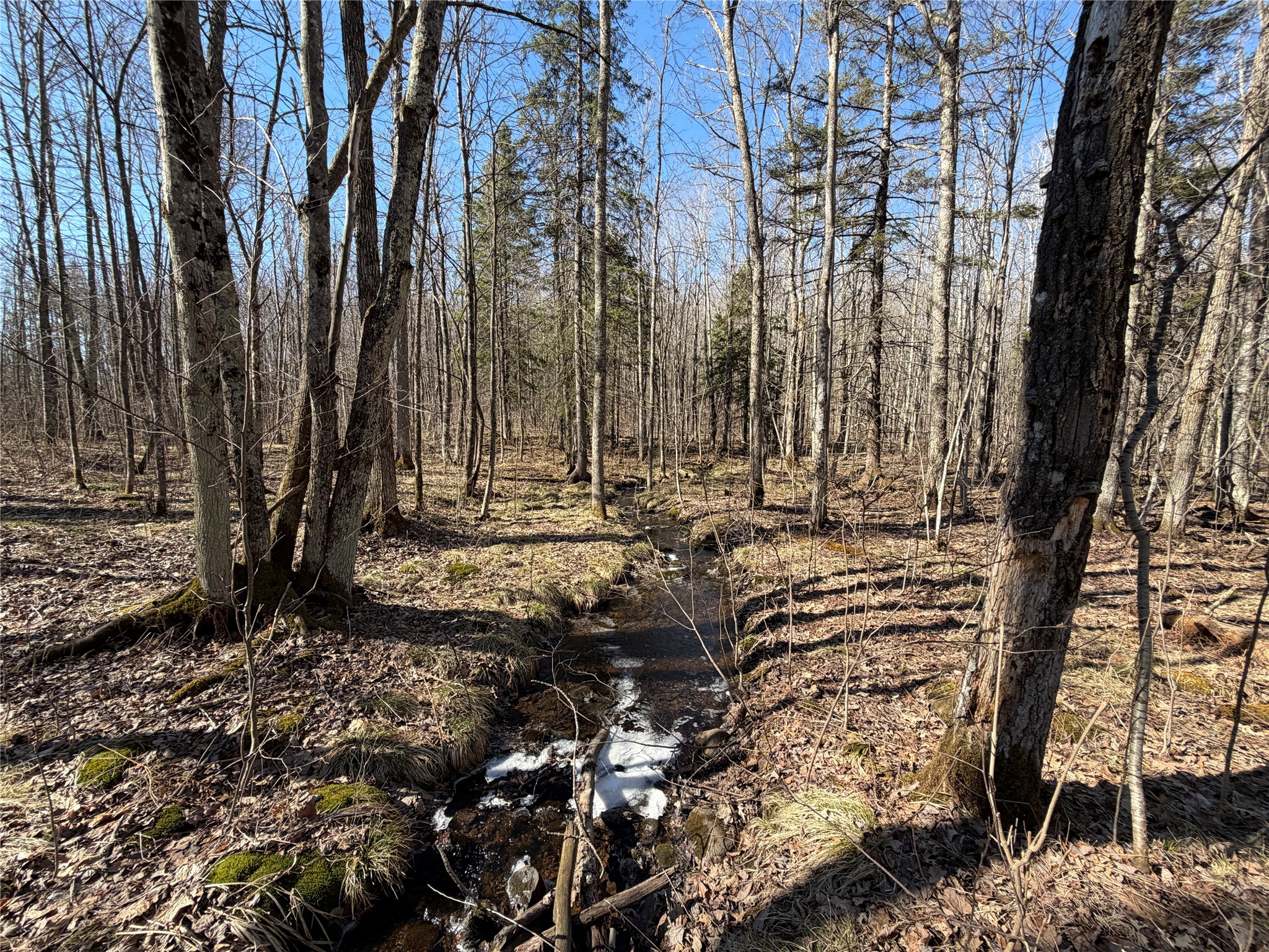 0 Sunset Lane Birchwood WI 54817 1598151 image3