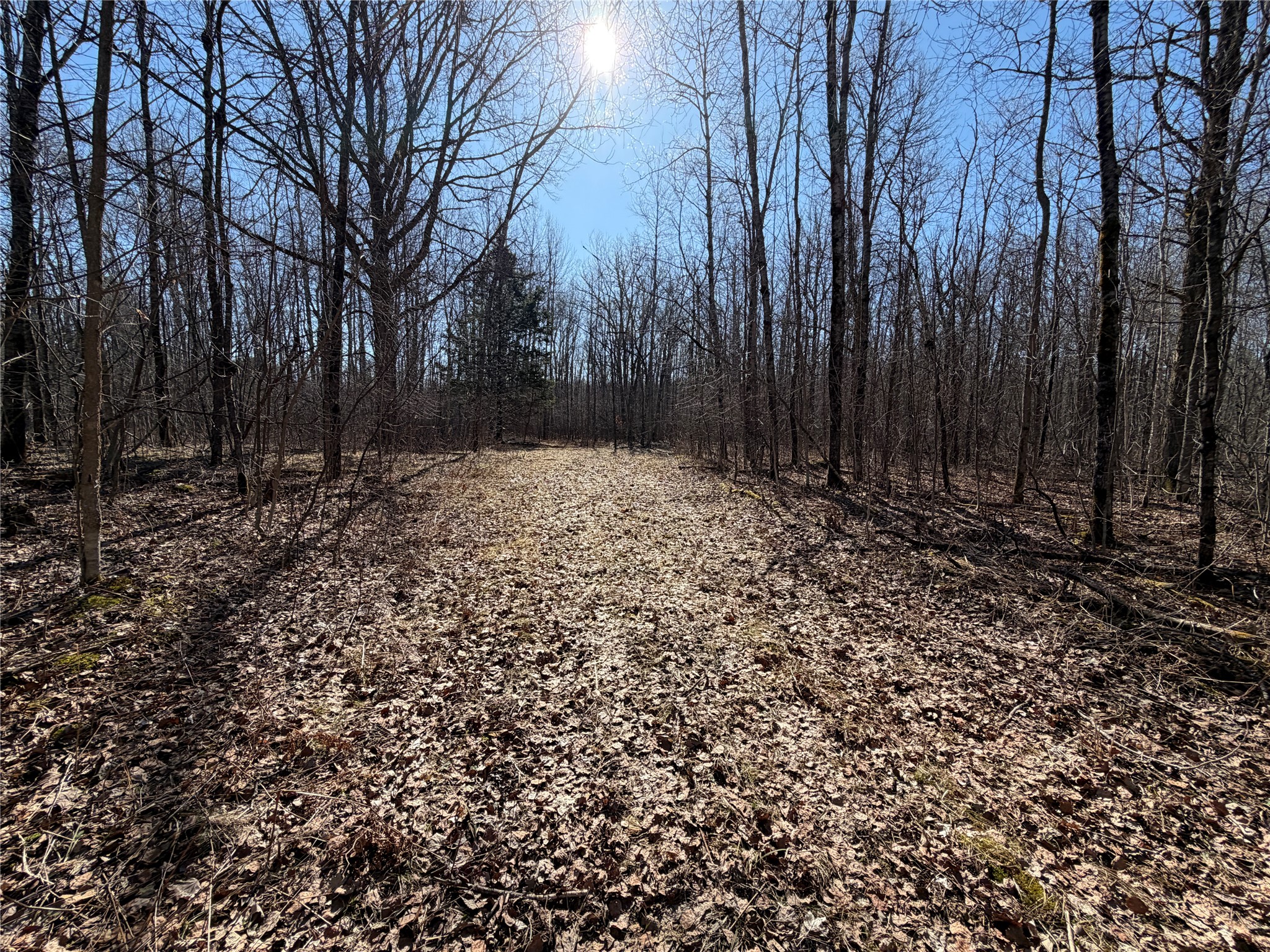 0 Sunset Lane Birchwood WI 54817 1598151 image6