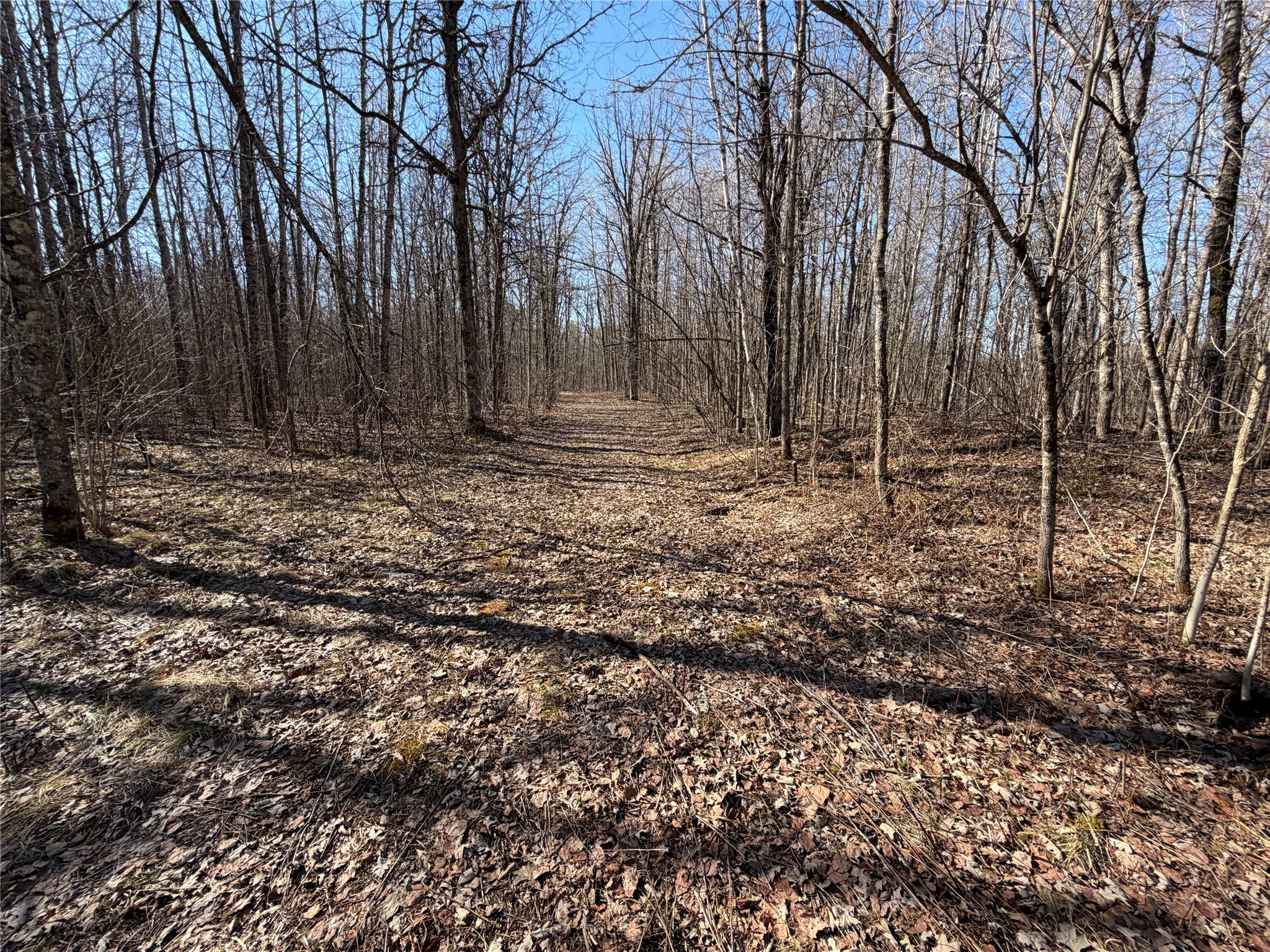 0 Sunset Lane Birchwood WI 54817 1598151 image7