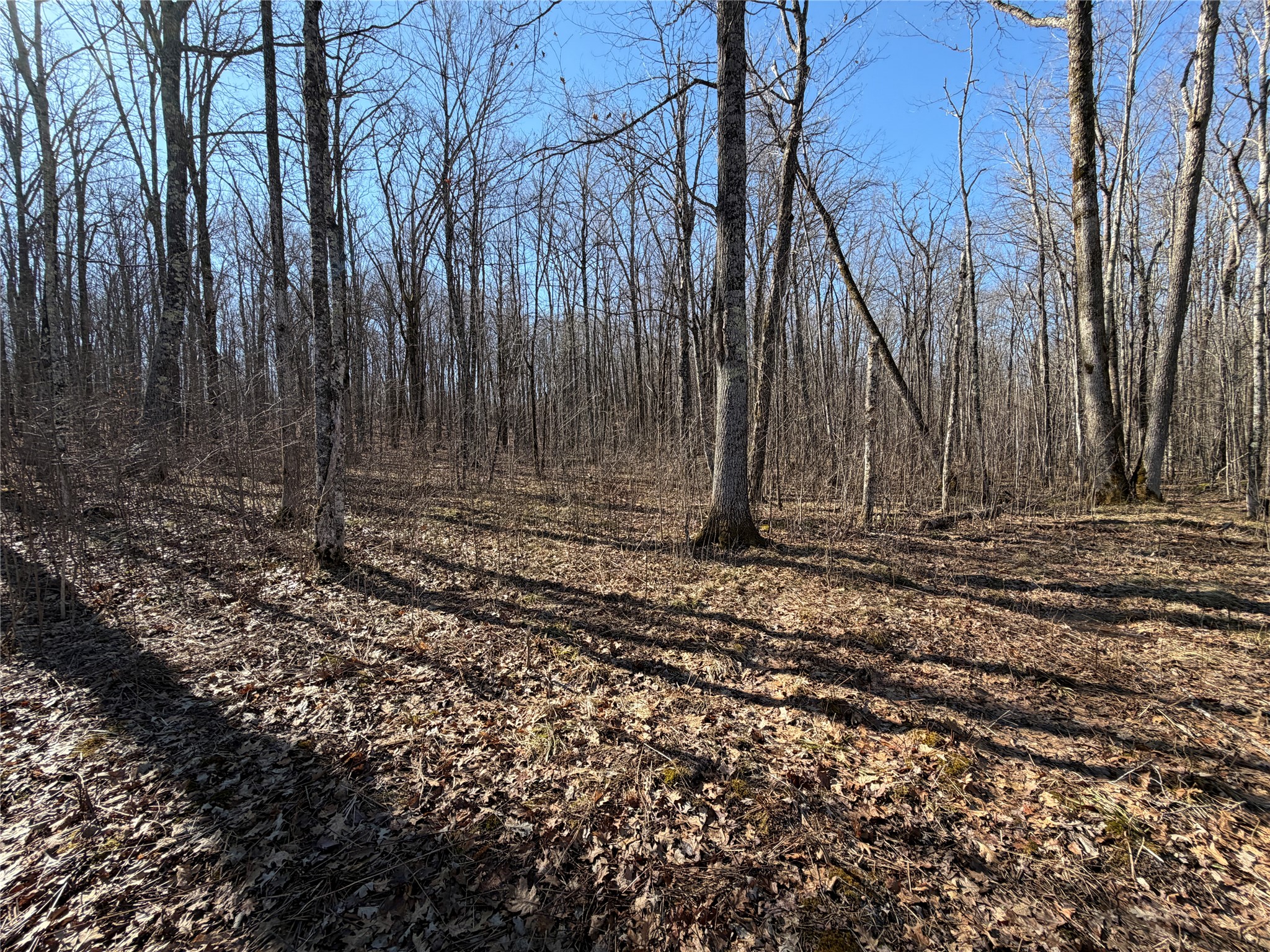 0 Sunset Lane Birchwood WI 54817 1598151 image8