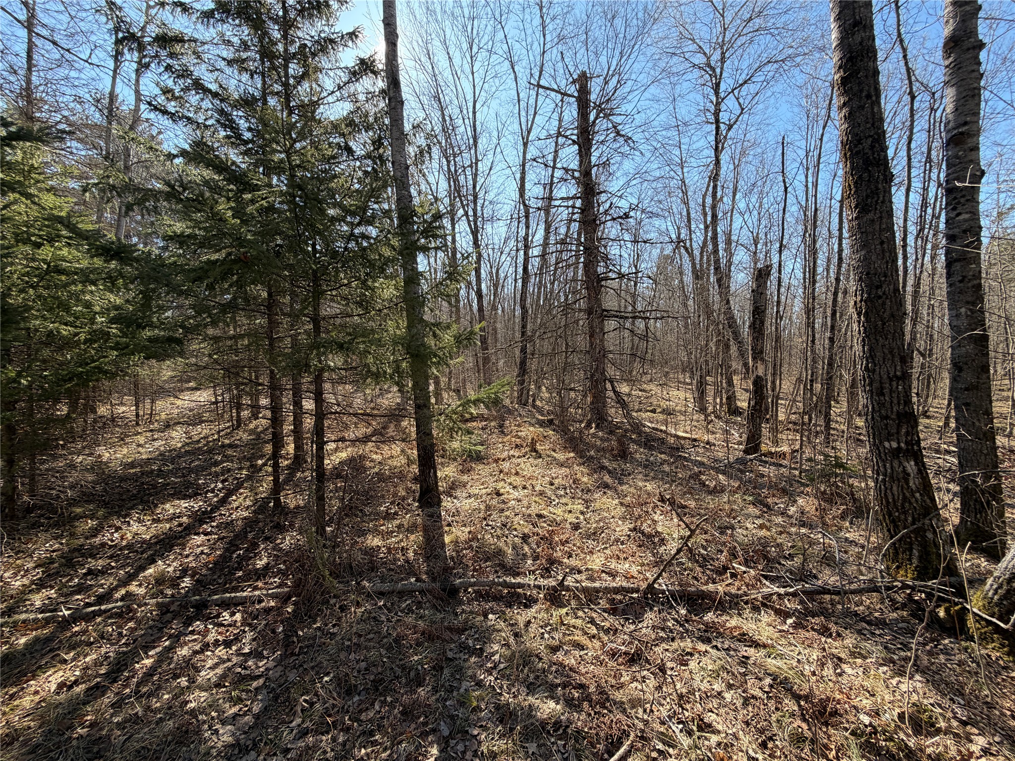 0 Sunset Lane Birchwood WI 54817 1598151 image9