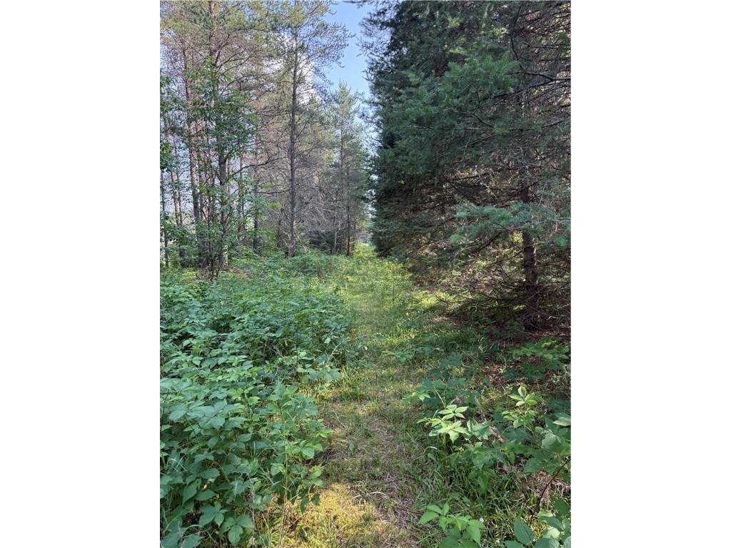 0 Tagalder Trail Hayward WI 54843 1594124 image1