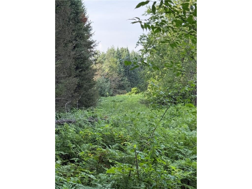 0 Tagalder Trail Hayward WI 54843 1594124 image10