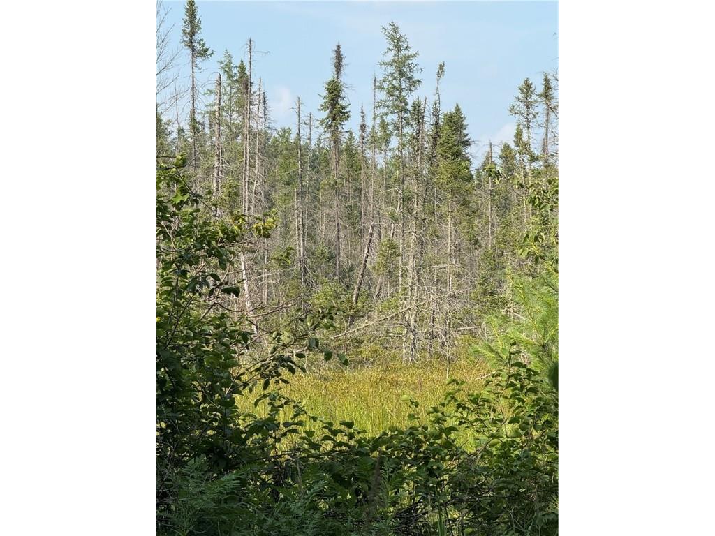 0 Tagalder Trail Hayward WI 54843 1594124 image11