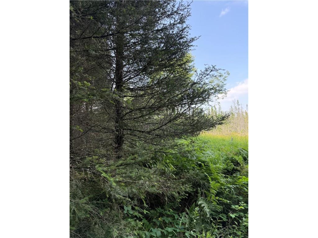 0 Tagalder Trail Hayward WI 54843 1594124 image12