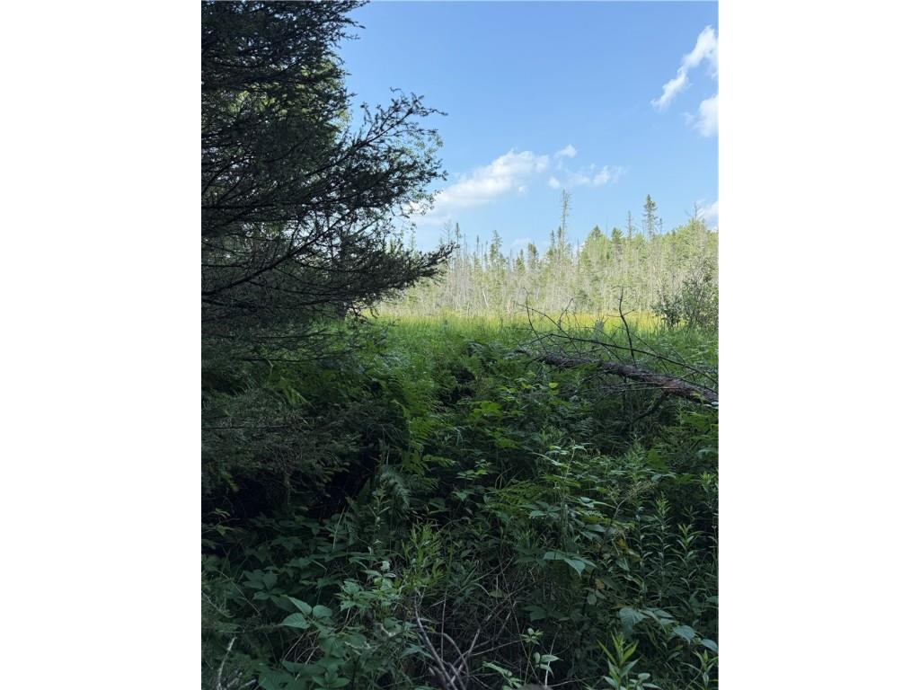 0 Tagalder Trail Hayward WI 54843 1594124 image13