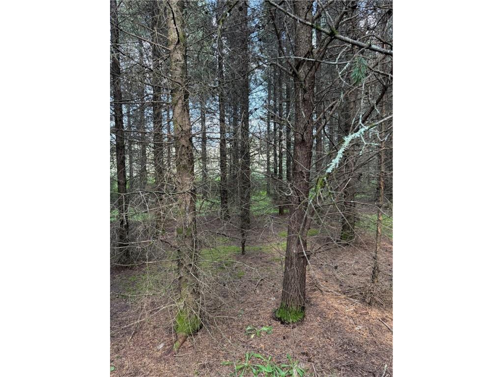 0 Tagalder Trail Hayward WI 54843 1594124 image14