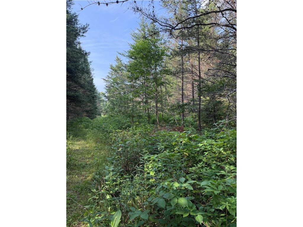 0 Tagalder Trail Hayward WI 54843 1594124 image15