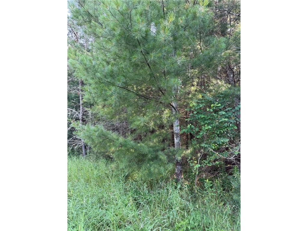 0 Tagalder Trail Hayward WI 54843 1594124 image16