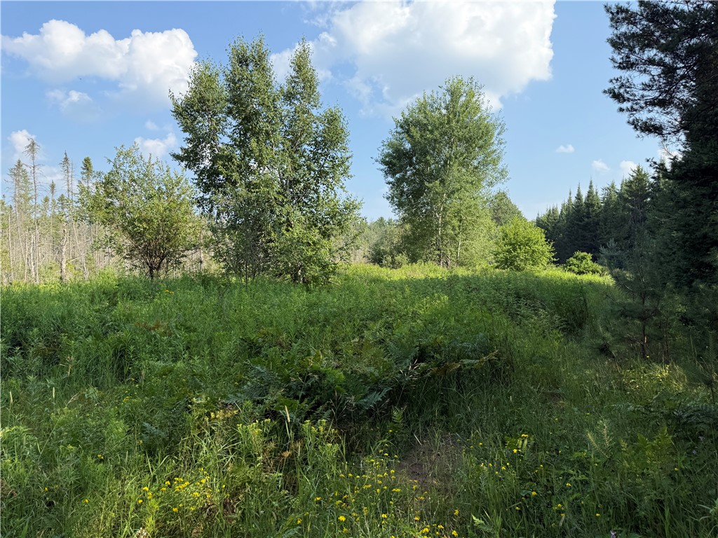 0 Tagalder Trail Hayward WI 54843 1594124 image17