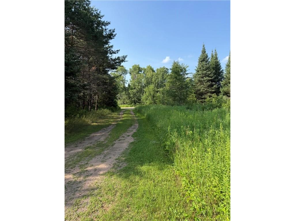 0 Tagalder Trail Hayward WI 54843 1594124 image20