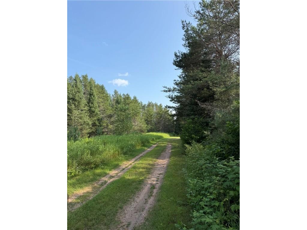 0 Tagalder Trail Hayward WI 54843 1594124 image3