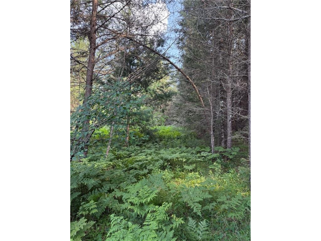 0 Tagalder Trail Hayward WI 54843 1594124 image4