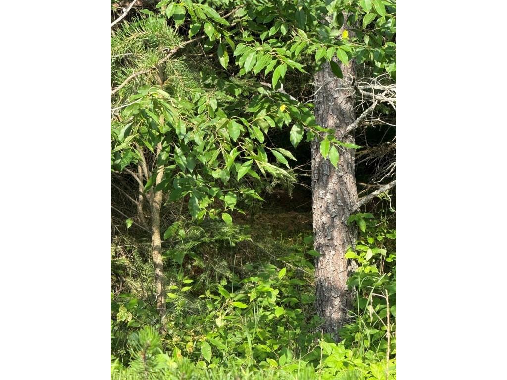 0 Tagalder Trail Hayward WI 54843 1594124 image5