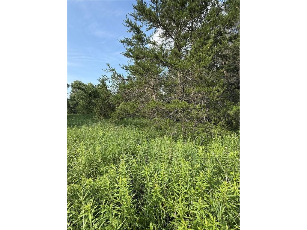 0 Tagalder Trail Hayward WI 54843 1594124 image6