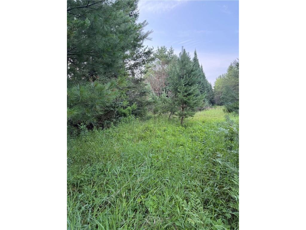 0 Tagalder Trail Hayward WI 54843 1594124 image8