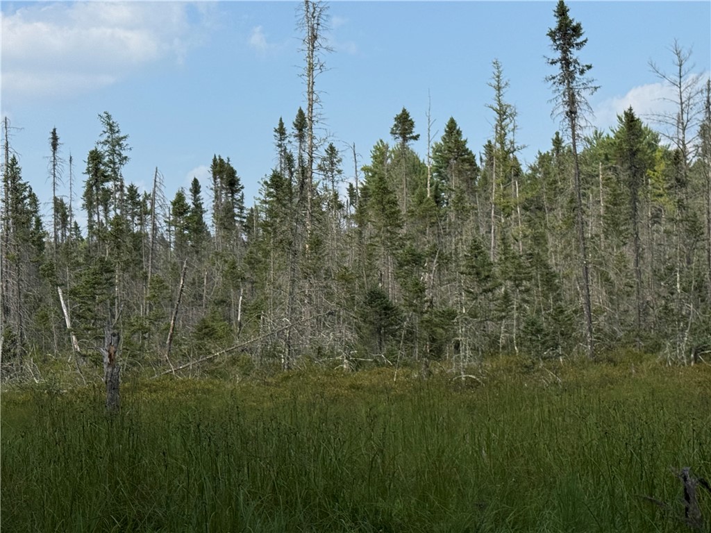 0 Tagalder Trail Hayward WI 54843 1594124 image9