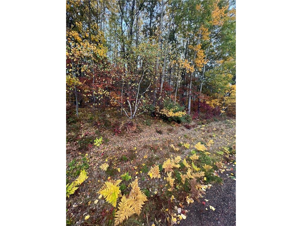 0 Town Hall Road Springbrook WI 54875 1569265 image1