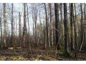 0 Trails End Lane Hayward WI 54843 - Lost Land Lake 1571152 image1