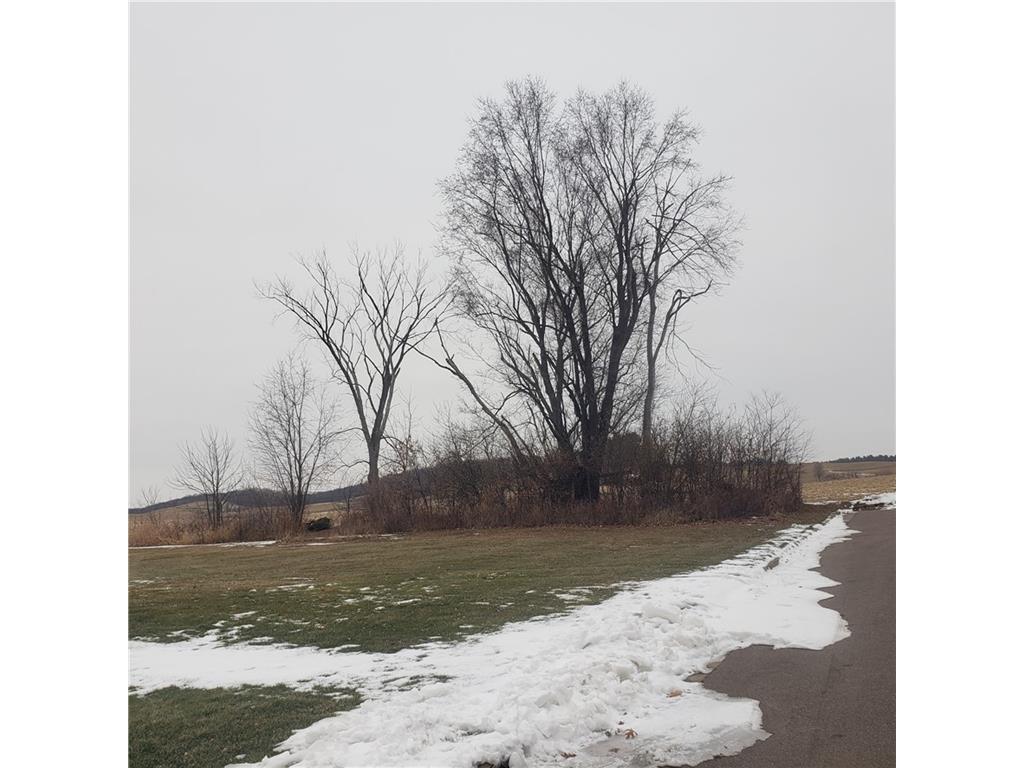 0 Truman Street Mondovi WI 54755 1570364 image1