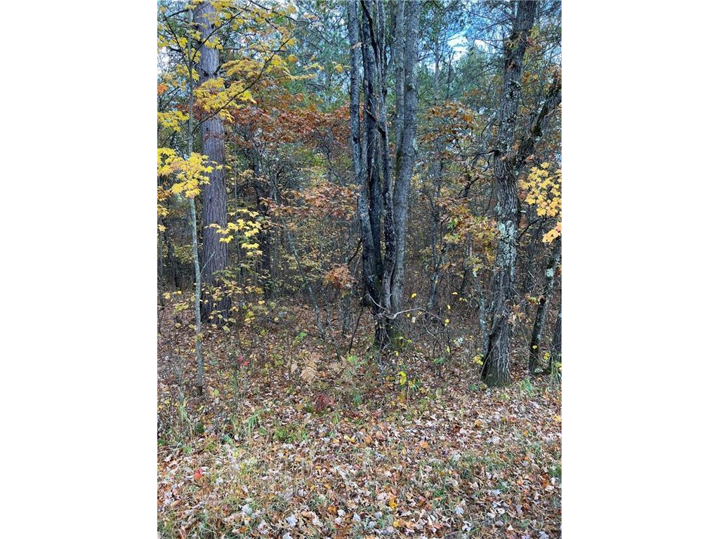 0 Valley Drive Barnes WI 54873 1569380 image1