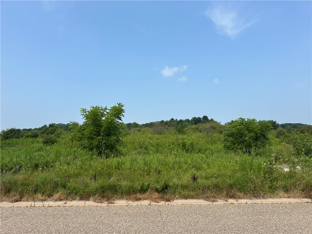 0 Van Buren Street Black River Falls WI 54615 1594384 image1