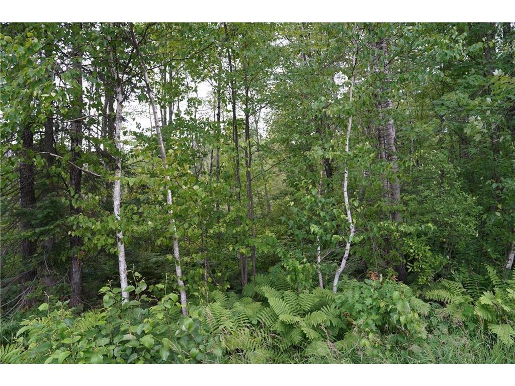 0 W County Road X W Glen Flora WI 54526 1575609 image1