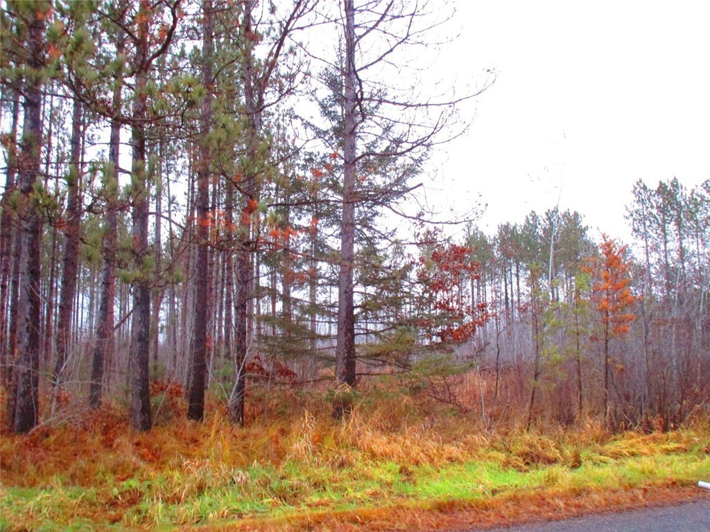 0 W Hospital Road Hayward WI 54843 1501065 image1