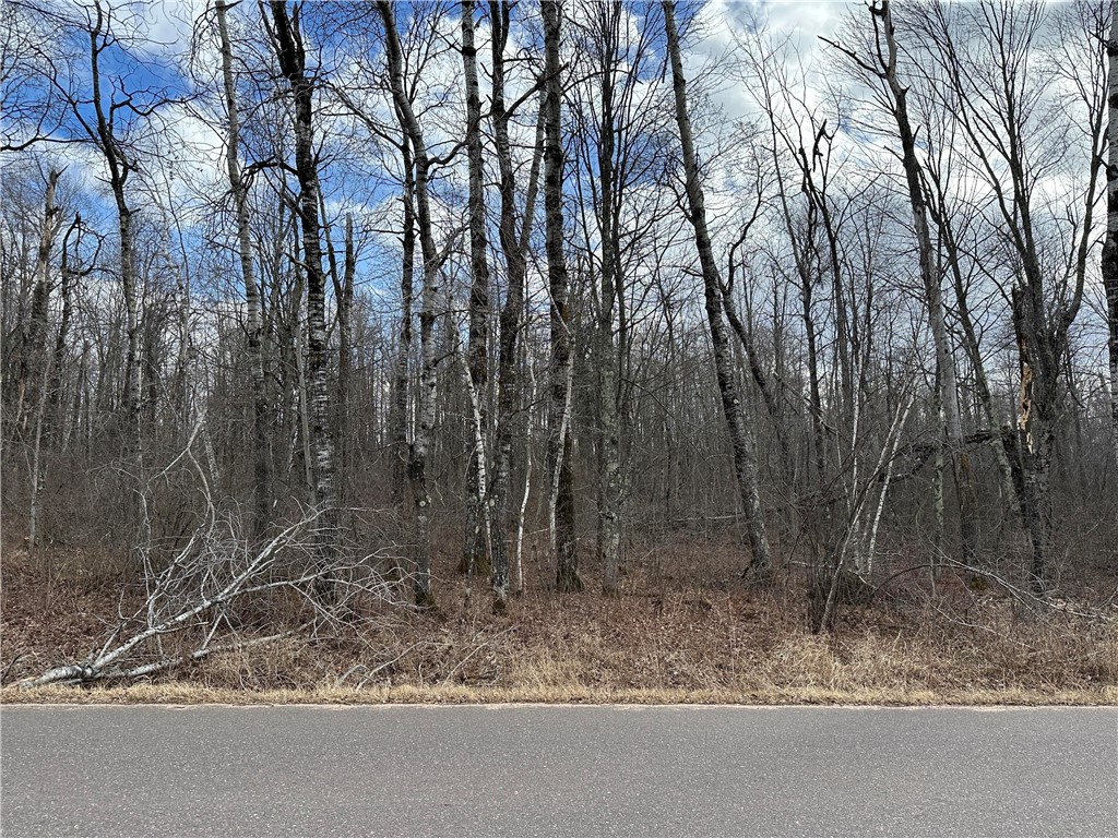 0 W Polish Road Radisson WI 54867 1580662 image1