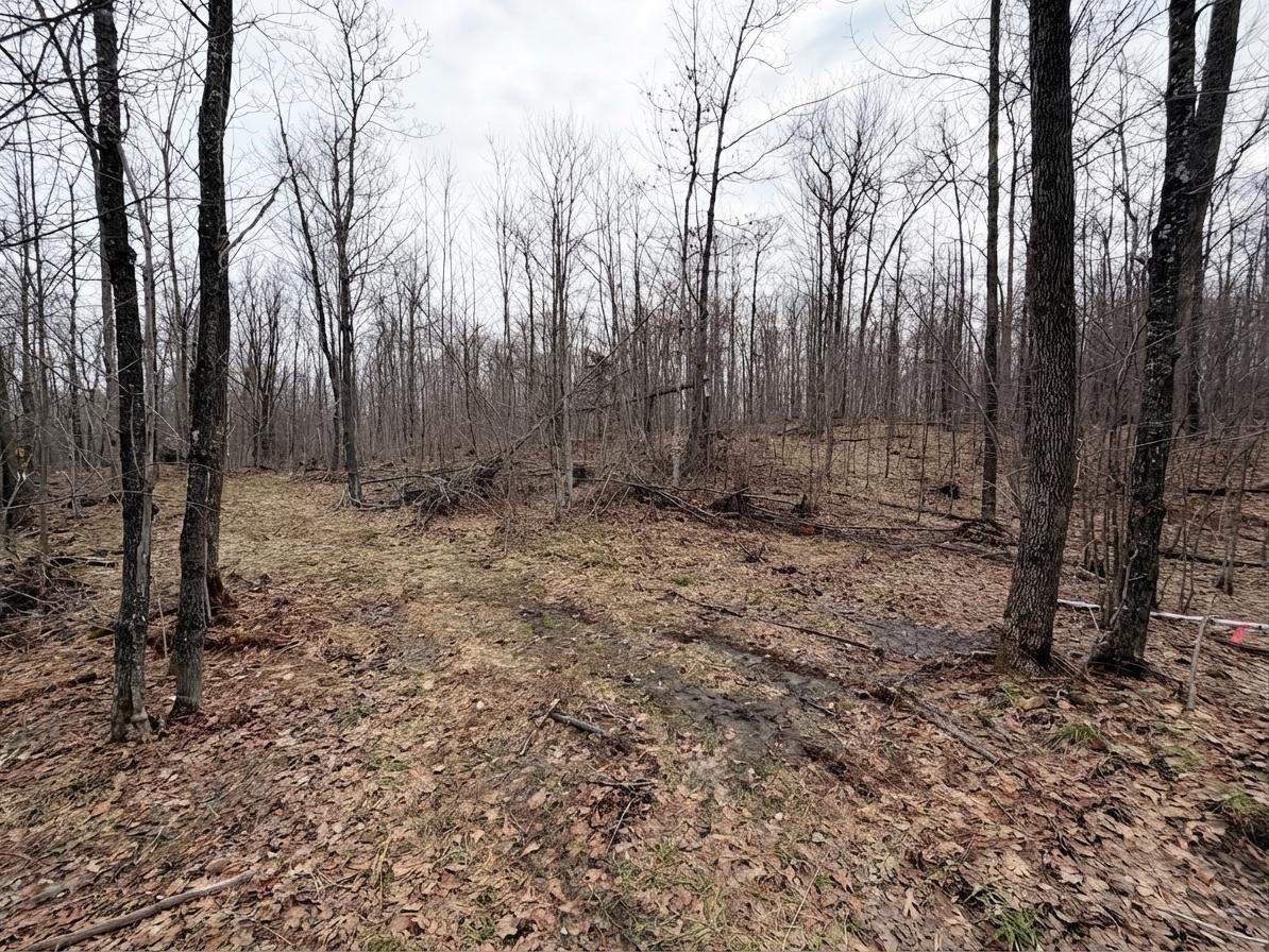 0 W State Highway 48 Birchwood WI 54817 1598255 image3