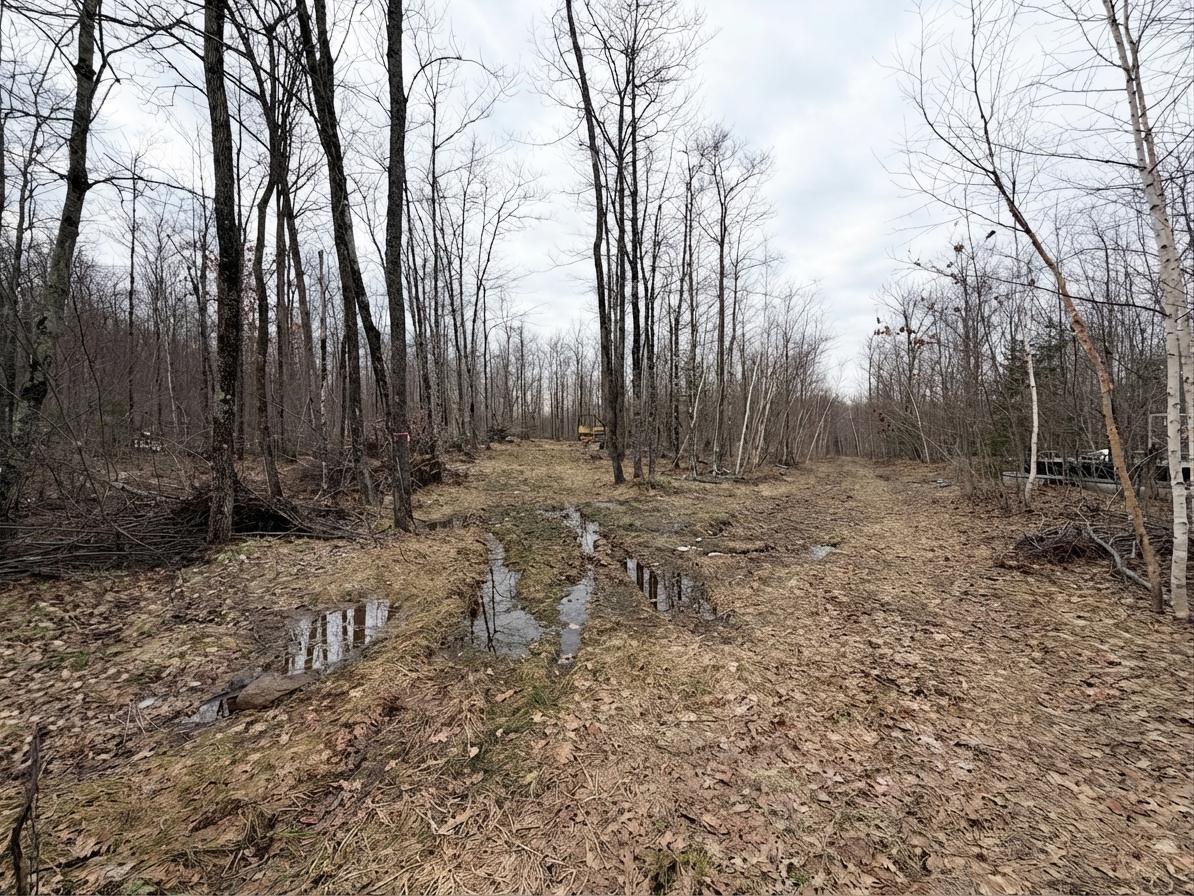 0 W State Highway 48 Birchwood WI 54817 1598255 image4