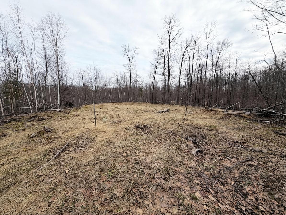 0 W State Highway 48 Birchwood WI 54817 1598255 image5