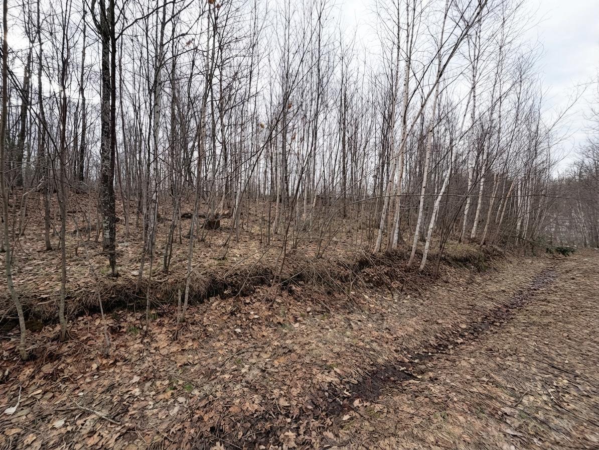 0 W State Highway 48 Birchwood WI 54817 1598255 image7